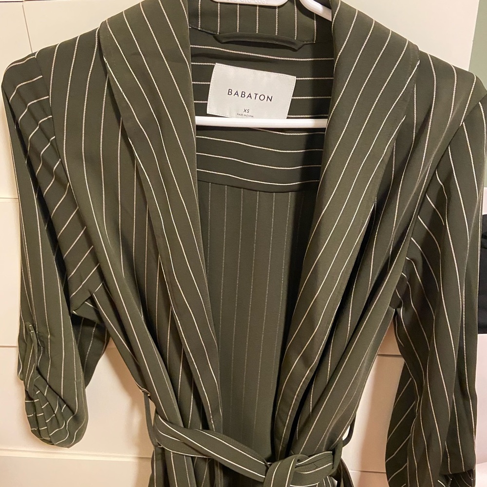Aritzia babaton green pinstripe sister coat